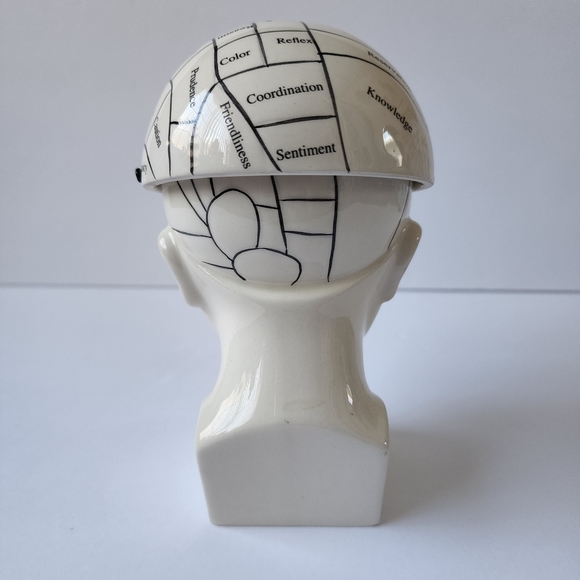 Phrenology Head ceramic porcelain medical terms decor - Picture 3 of 9